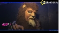 The Jungle show
