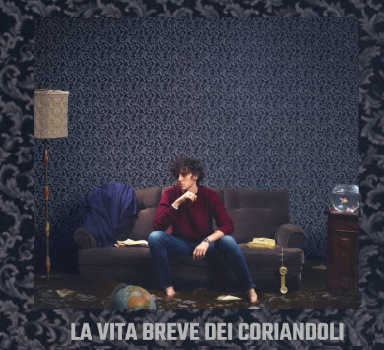 MICHELE BRAVI : LA VITA BREVE DEI CORIANDOLI MICHELE BRAVI : LA VITA BREVE DEI CORIANDOLI